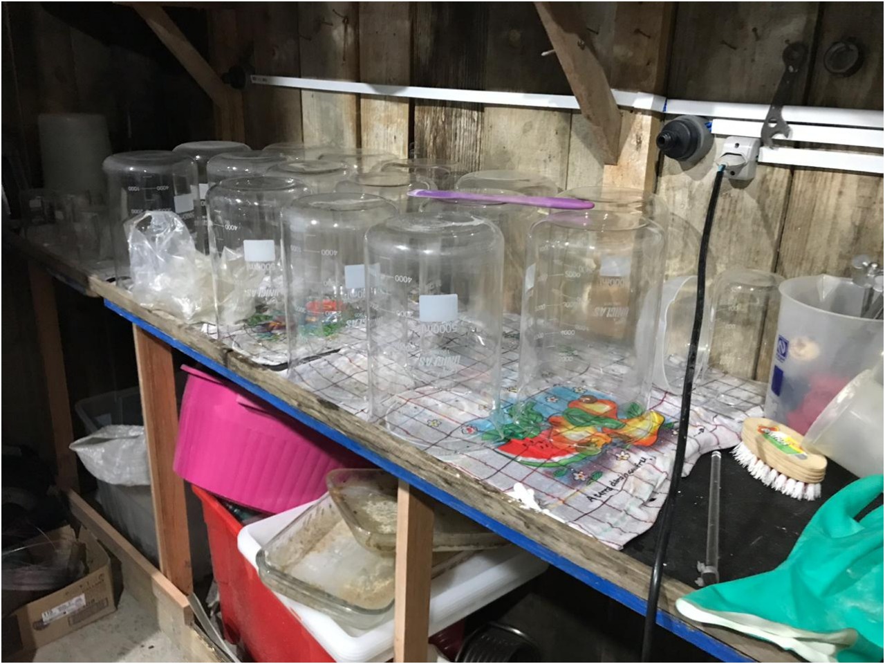 Polícia realiza em Santa Catarina a maior apreensão de drogas sintéticas no país