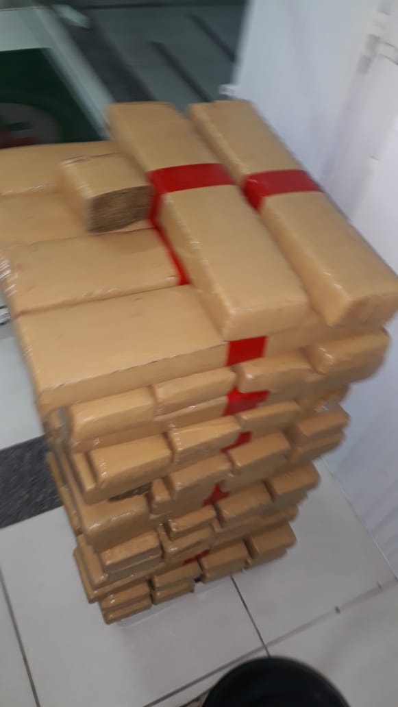 PM apreende 76kg de maconha, arma e anotações sobre o tráfico em bairro de Florianópolis