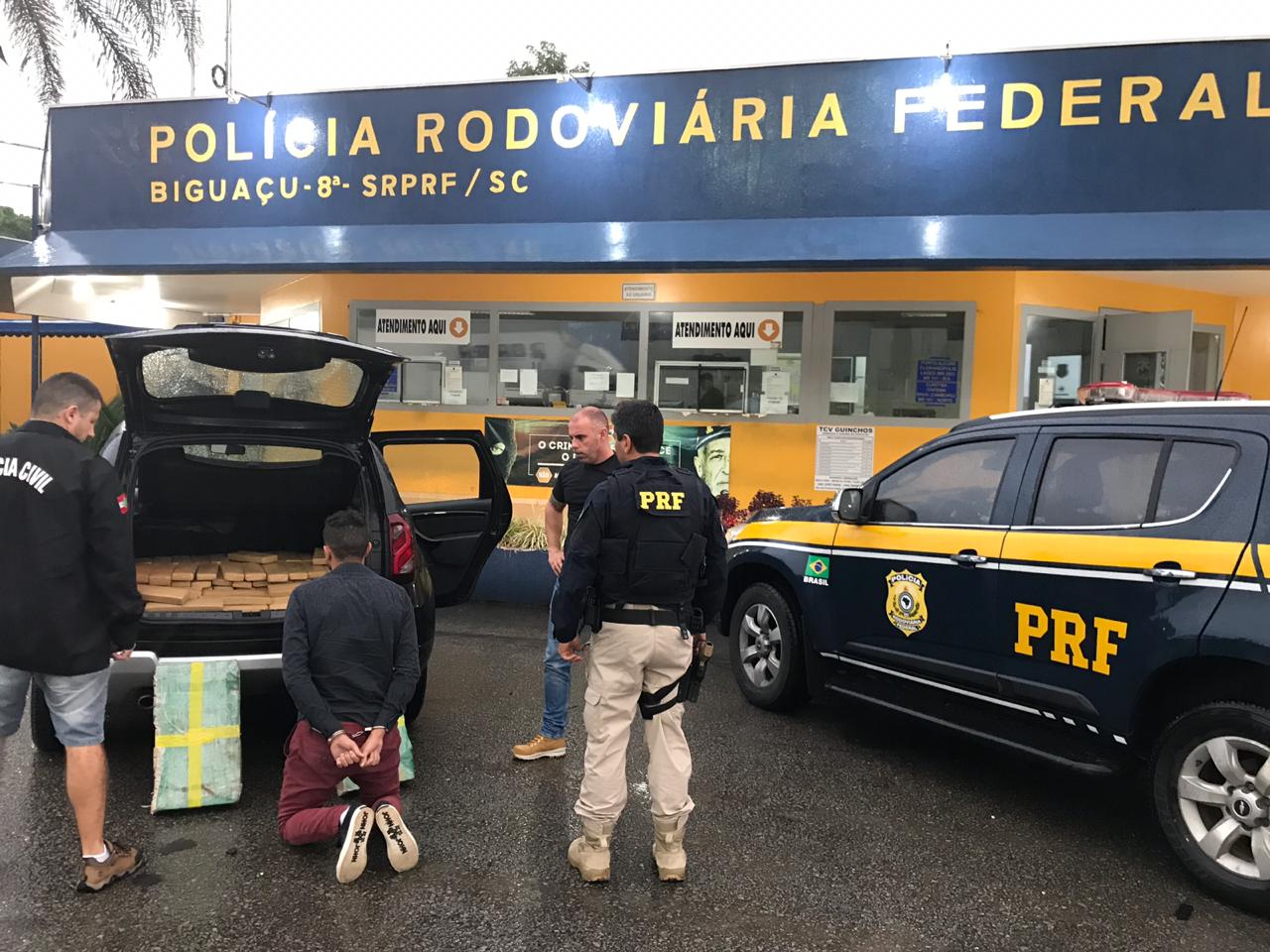 Polícia retira do mercado consumidor de Biguaçu e de São José cerca de 400 kg de maconha