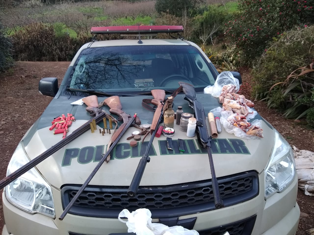 Irmãos que abatiam animais em extinção são presos em Tangará, SC