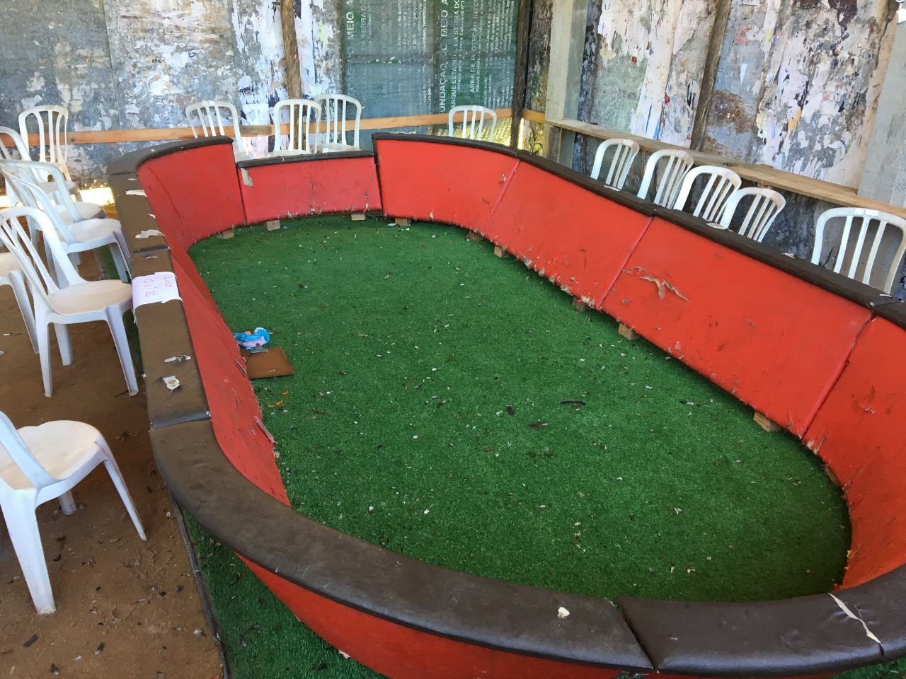 Polícia Militar Ambiental flagra vereador em rinha de galo na Grande Florianópolis.