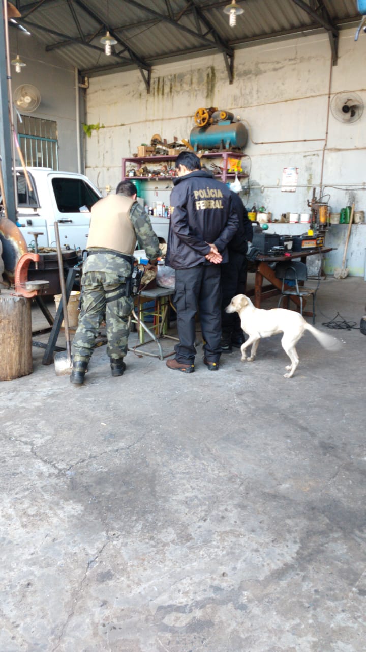 Polícia captura caçador com armas, carne congelada, munição e apreende 17 cães