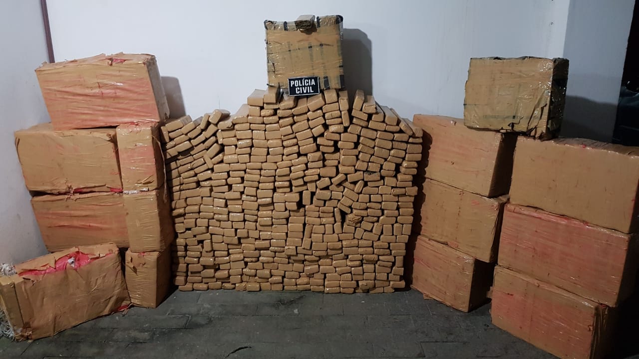 Polícia retira do mercado consumidor meia tonelada de maconha, Piçarras