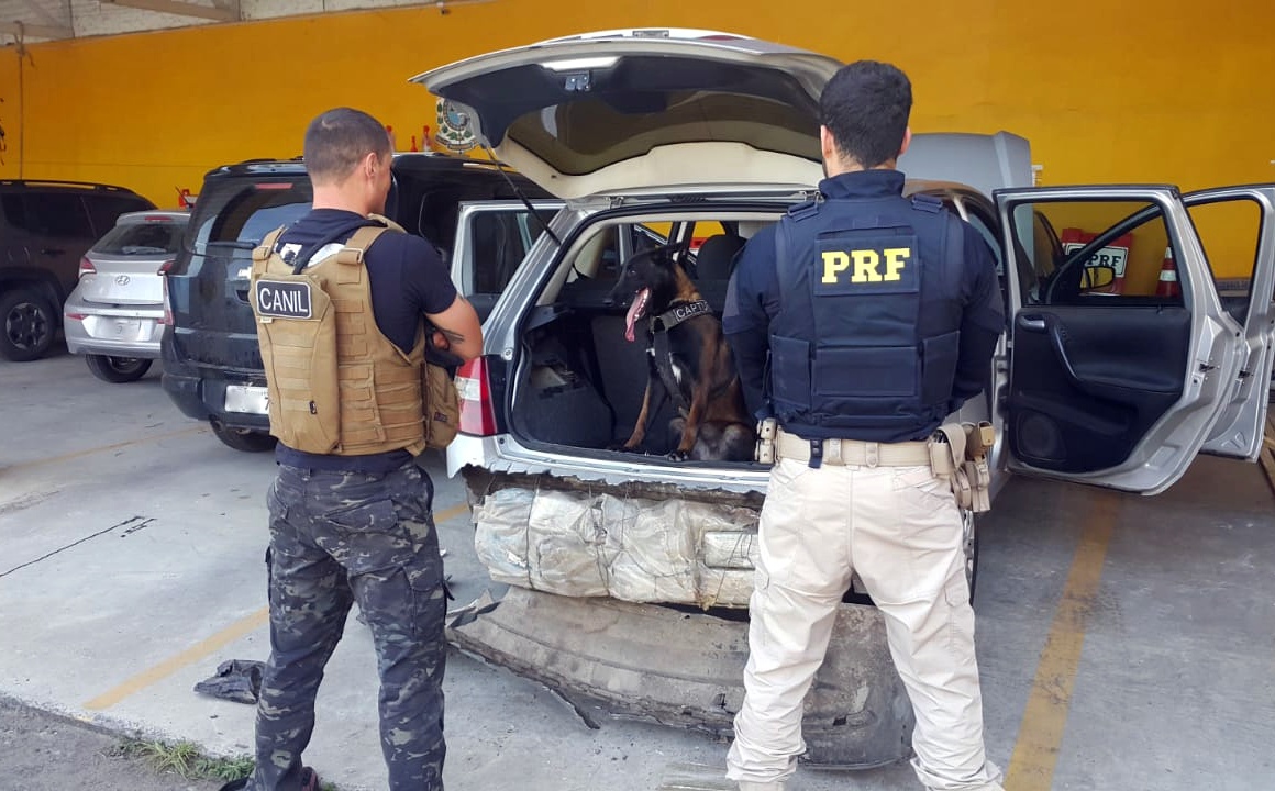 Dia produtivo para a PRF que fez três grandes apreensões de drogas em SC