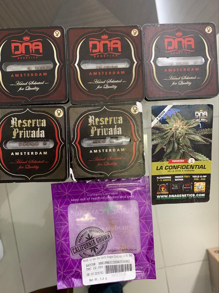 Traficantes que levam pó para a Itália e trazem ecstasy são presos em SC