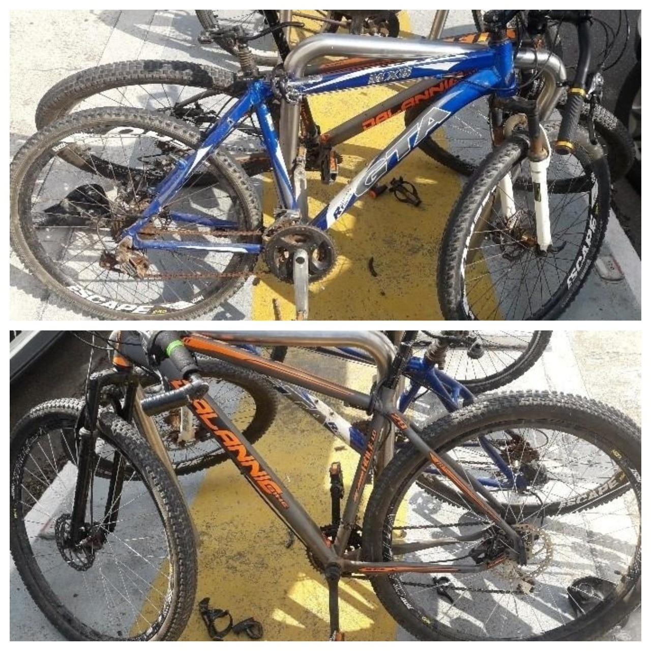 Homem é preso furtando bicicleta em Balneário Camboriú, SC