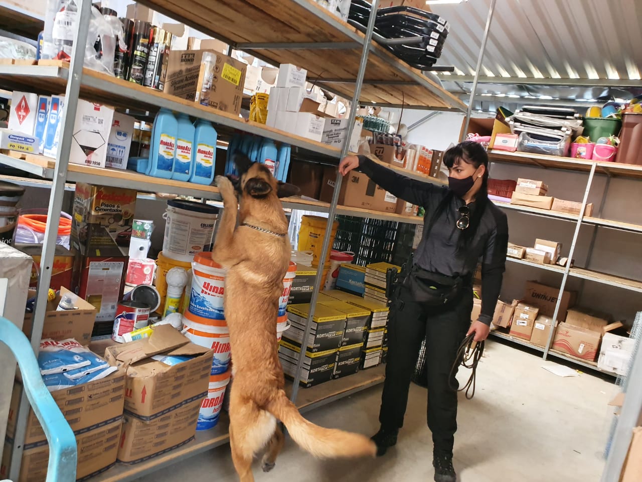 Polícia Civil treina cães farejadores em curso de Cinotecnia