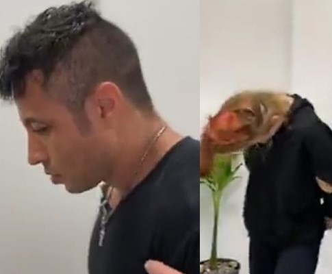 Por que o casal roubou a criança ?