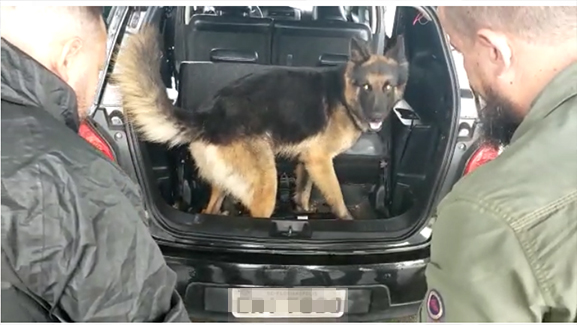 Polícia apreende cinco quilos de MDMA; a droga da vez