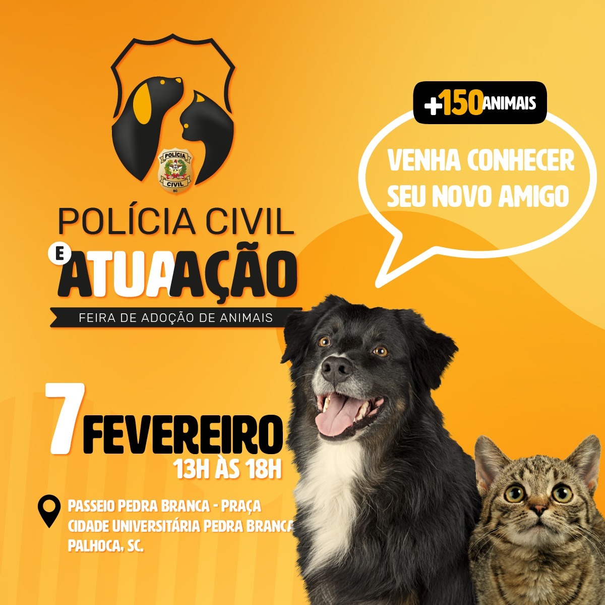 Domingo tem feira de doação de animais em Palhoça