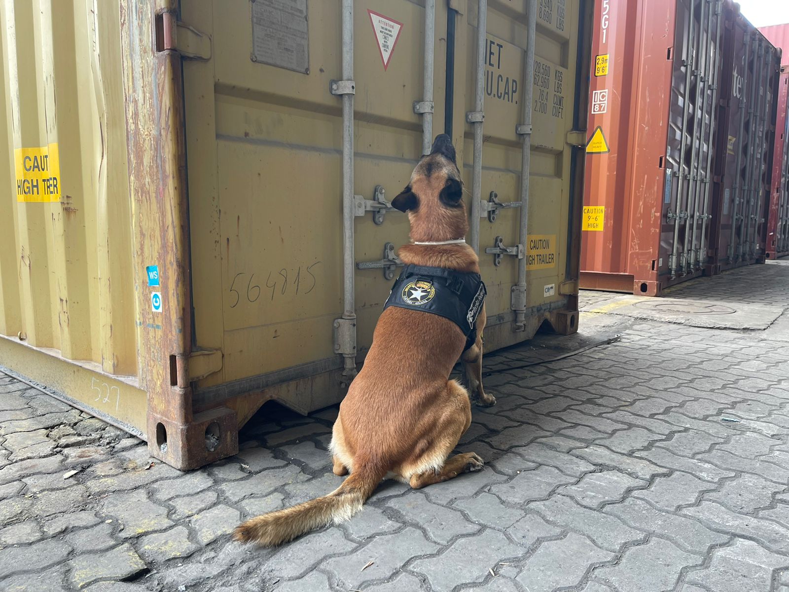 PF apreende mais 350kg de cocaína em portos de SC