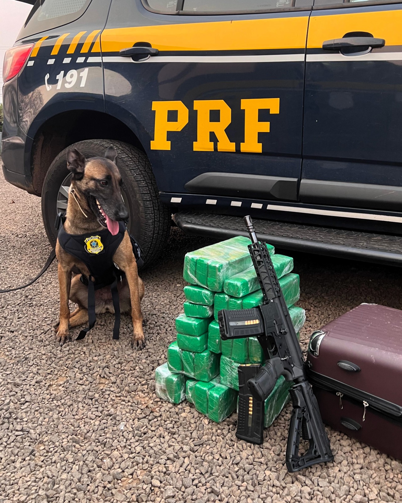 Cão encontra fuzil e droga